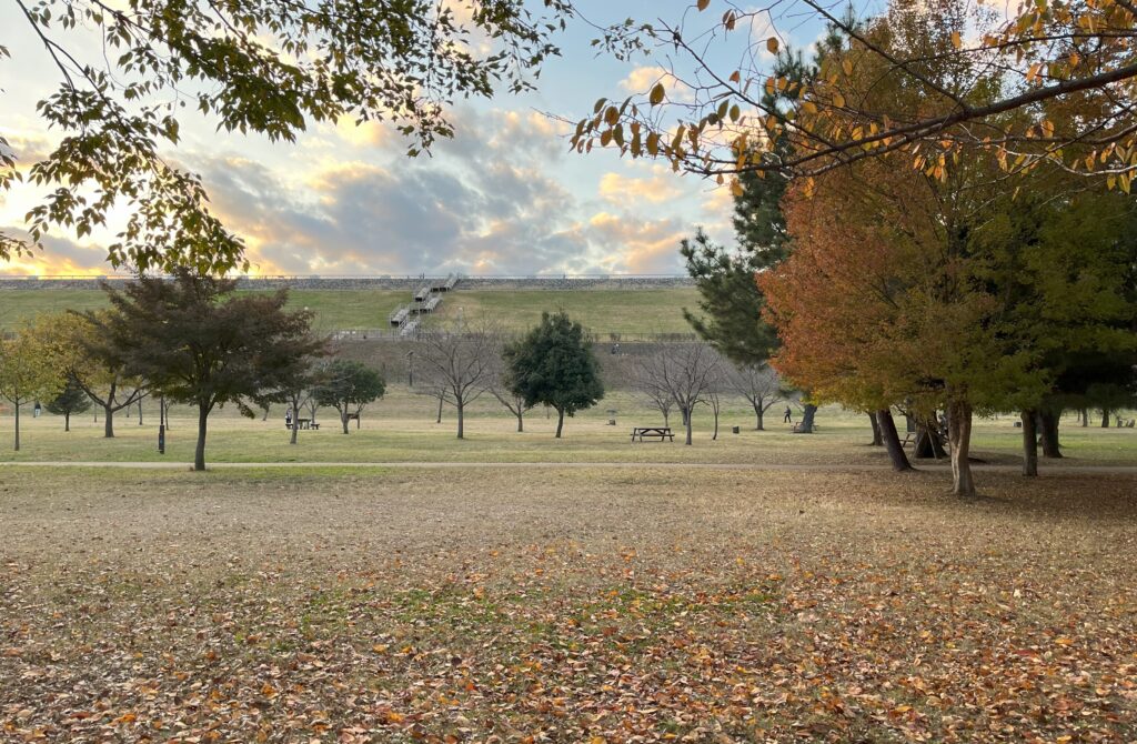 都立狭山公園