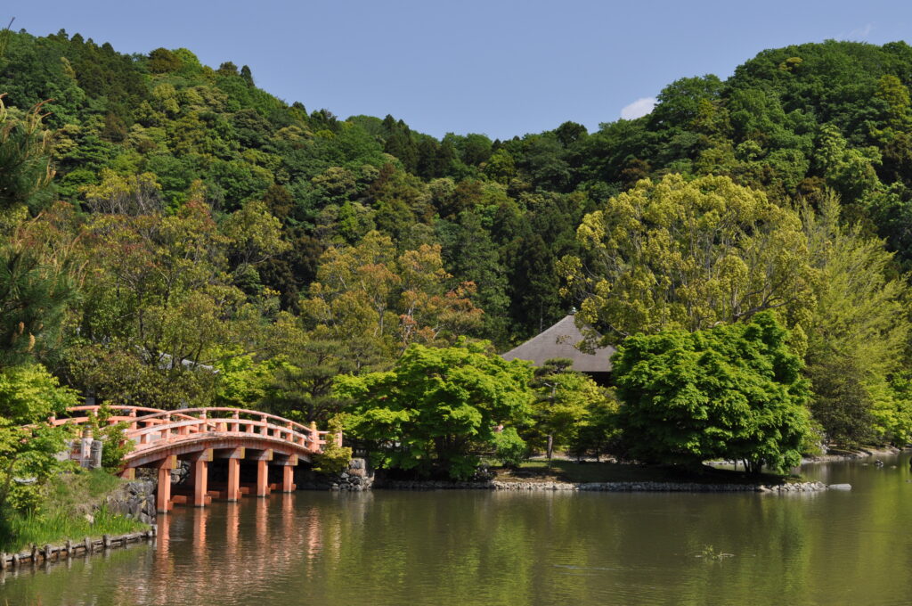 願成寺白水阿弥陀堂の浄土庭園