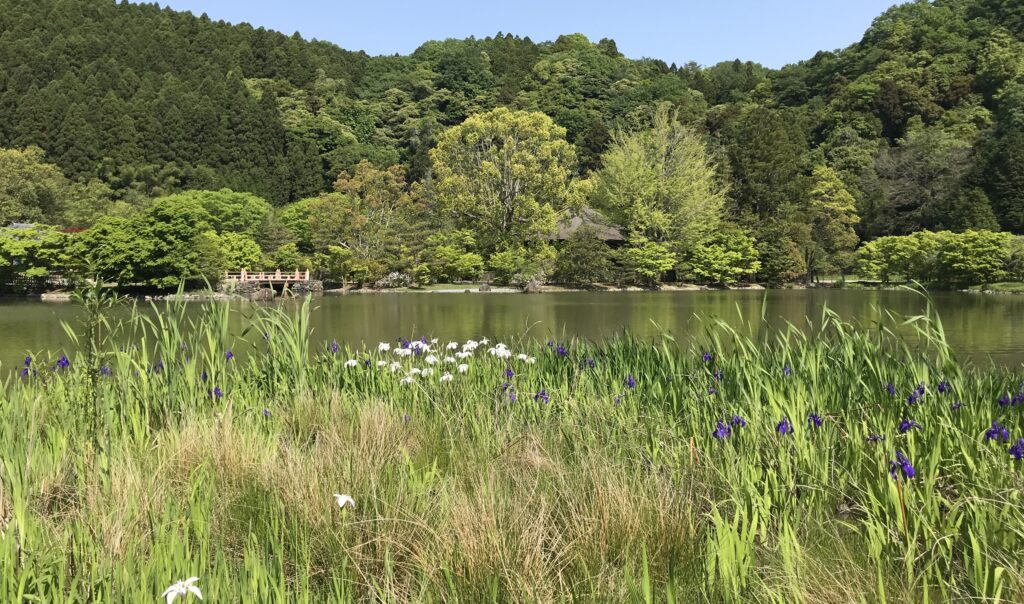 願成寺白水阿弥陀堂の浄土庭園