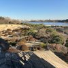 水戸・偕楽園